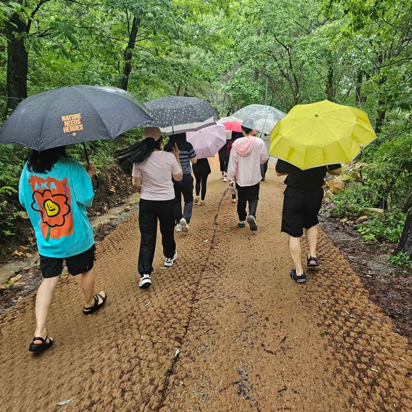 522734089_23872412622398754_1520902606645990362_n.jpg__PID:456460dd-6e97-40f6-8c97-cd17a5e205cc