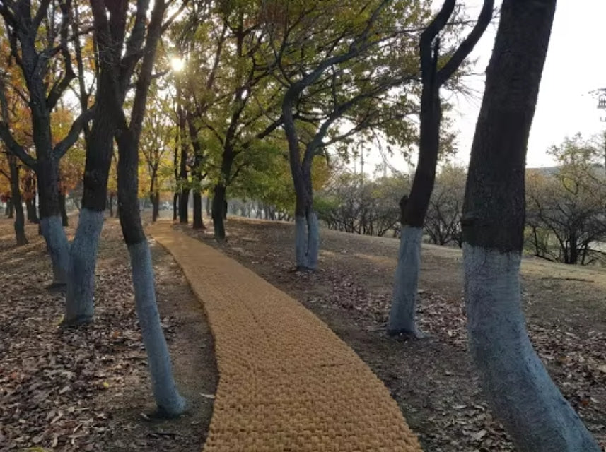 Screenshot 2025-04-12 223352.jpg__PID:6e9780f6-8c97-4d17-a5e2-05cc7141dea9